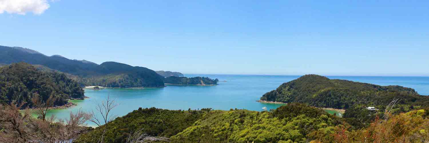 An Unforgettable Sightseeing Experience in the Abel Tasman National Park