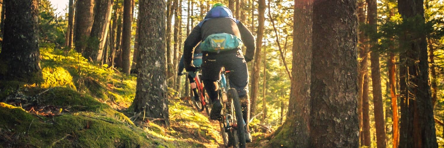 Mountain biking trips are available with transport direct from Nelson
