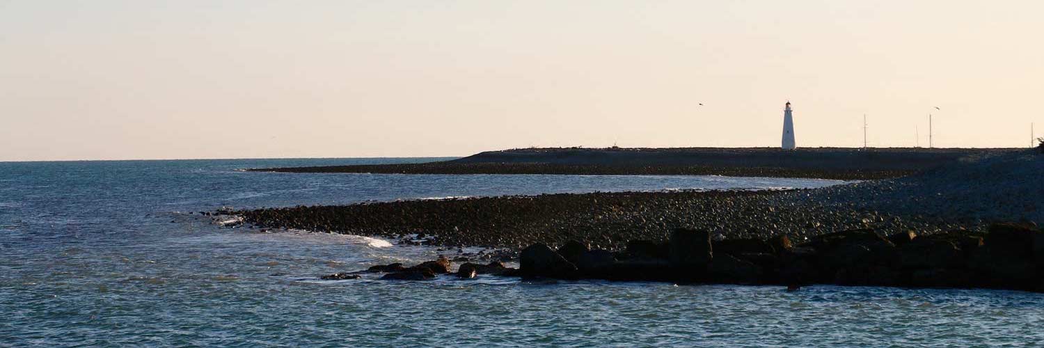 Nelson Harbour and Tasman Bay Cruises